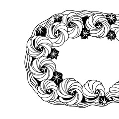 Elegant Floral Frame Vector, Black & White Swirls, Clean Design