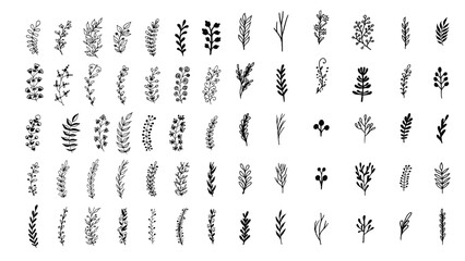 floral alphabet letters ornamental and floral elements