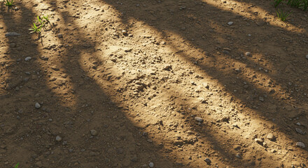 Solo de terra seca com feixos de luz solar e sombras