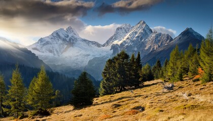 Fototapeta premium Mountain Landscape with Trees