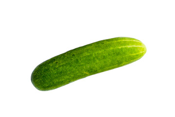 Fresh cucumbers on white background.