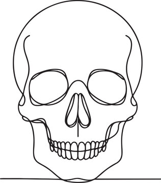recommend clip art: Creepy Skull Drawing on White
