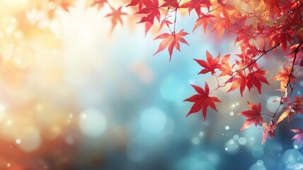 Japanese maple, red-orange sunlight blur.