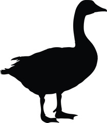 Minimalist goose Silhouette – Bold Black Waterfowl Outline for Creative Designs