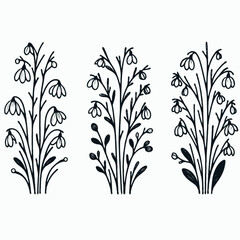 Set of outline snowdrops, leaves, doodle floral pattern. Hand drawn spring Botanical drawing. Detailed line art bluebell illustration. Simple Stylized, minimalist flowers. Elegant Black and White 