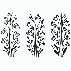 Fototapeta premium Set of outline snowdrops, leaves, doodle floral pattern. Hand drawn spring Botanical drawing. Detailed line art bluebell illustration. Simple Stylized, minimalist flowers. Elegant Black and White 