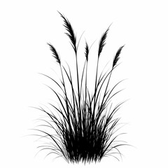 Black and White Vector Illustration of Grass and Reeds Silhouette in Natural Field Scenery