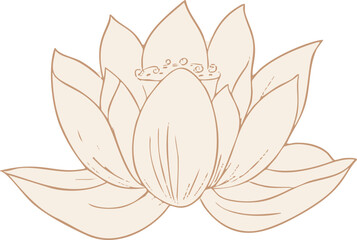 Fototapeta premium Elegant beige lotus flower with detailed petals outlined, line art style. Vector illustration