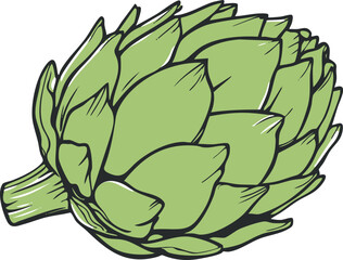 Detailed illustration of a vibrant green artichoke . Vector illustration