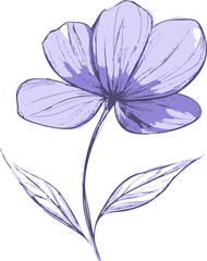 Obraz premium Illustration of a delicate purple flower with shaded petals and two leaves. Vector illustration