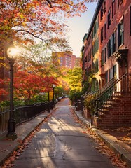 Fototapeta premium Cozy Boston street in autumn—red-brick brownstones, golden sunlight, swirling leaves, wild grapevines, and a soft breeze capture urban charm and seasonal warmth.