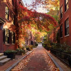 Fototapeta premium Cozy Boston street in autumn—red-brick brownstones, golden sunlight, swirling leaves, wild grapevines, and a soft breeze capture urban charm and seasonal warmth.