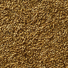 Close Up Rye Grain Texture