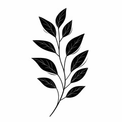 Fototapeta premium Minimalist Botanical Vector Illustration. Isolated Black Leaf Silhouette Design for Modern Eco-Friendly Home Decor and Prints