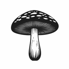 Black and White Mushroom Illustration. Artistic and Whimsical Graphic Design for Organic Nature Lovers