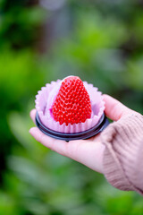 Fresh Strawberry Mochi Dessert Held in Hand Outdoors