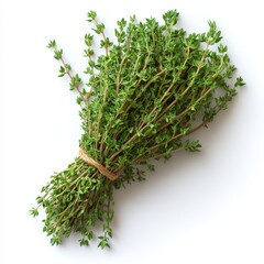 elegant bundle of fresh thyme delicate green sprigs soft fine details sharp defined structure subtle soft shadows isolated on white 