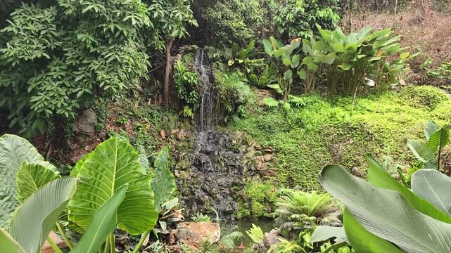 A small waterfall is flowing.