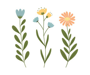 Hand-drawn Floral Illustration with Colorful Flowers and Leaves – Spring Vector Design