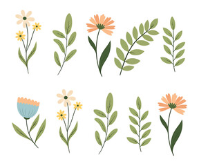 Hand-drawn Floral Elements Collection – Vector Illustration of Flowers and Leaves