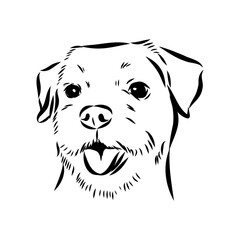Border Terrier, dog head, vector illustration, black color, vector image