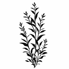 Fototapeta premium Organic Botanical Leaf Illustrations. Elegant Black and White Silhouette Patterns for Nature-Inspired Decorative Design