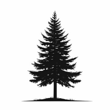 Abstract Pine Tree Silhouette. Tranquil Black and White Nature Illustration for Eco-Friendly Design