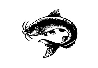 catfish hand drawn sketch illustration vector