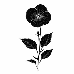 Elegant Black Pansy Vector Illustration. Botanical Art & Floral Design