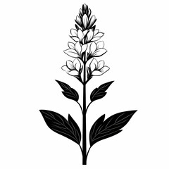 Fototapeta premium Black and White Botanical Flower Illustration - Elegant Floral Design Art with Leaves & Blossoms