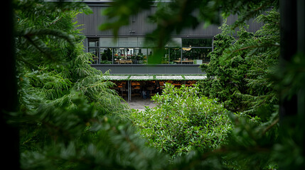 Urban Office Building Through Lush Green Trees