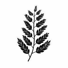 Fototapeta premium Monochrome Leaf Silhouette. Botanical Art and Organic Greenery Design