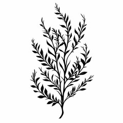 Fototapeta premium Elegant Black and White Botanical Silhouette. Minimalist Nature-Inspired Wall Art for Home Decor