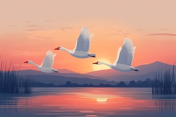 Naklejka premium Serene Swans. Sunset Reflections Over Tranquil Rippling Water - Wildlife Nature Art and Majestic Beauty in the Evening Sky