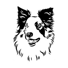 Border Collie Dog Vector isolated on white background, Dog Silhouettes.
