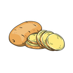 Raw potato whole and sliced illustration