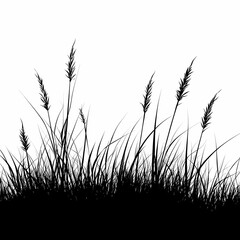 Black and White Silhouettes. Minimalist Grass and Wheat in Tranquil Nature Landscape