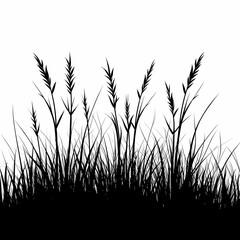 Tall Grass Silhouette in Field - Rustic Wild Nature Background with Organic Plant Textures