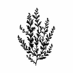 Nature-Inspired Botanical Art in Black and White Silhouette. A Modern Twist on Vintage Flora Design