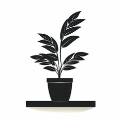 Stylish Indoor Houseplants. Elevate Your Home Decor with Minimalist Greenery and Botanical Design
