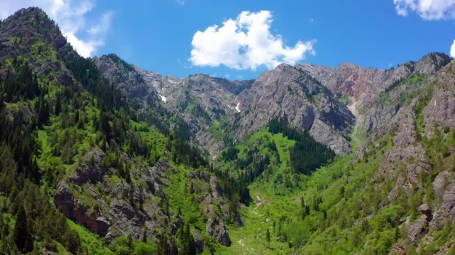Stunning 4K drone video shows a deep mountain gorge, likely in the San Juan Mountains of southwestern Colorado, with rugged cliffs and alpine vegetation.