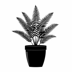 Elegant Indoor Greenery. Black and White Potted Fern for Minimalist Decor and Calming Spaces