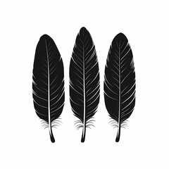 Monochrome Feather Vector Illustration. Elegant Boho Black Design for Artistic Background & Graphic Art