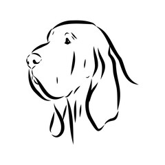 Decorative portrait in profile of dog Bloodhound