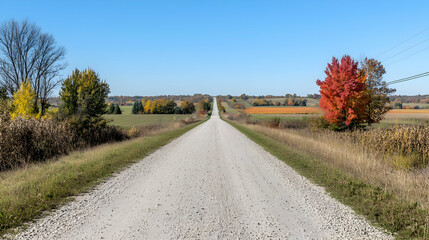 Fototapeta premium Autumn Country Road With Colorful Trees