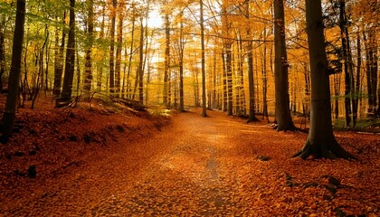 Obraz premium forest path covered in golden leaves, soft sunlight filtering 