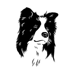Border Collie Dog Vector isolated on white background, Dog Silhouettes.