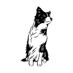 Border Collie Dog Vector isolated on white background, Dog Silhouettes.