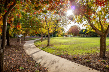 A curved concrete footpath winds through a vibrant suburban park with autumn trees. A warm and...