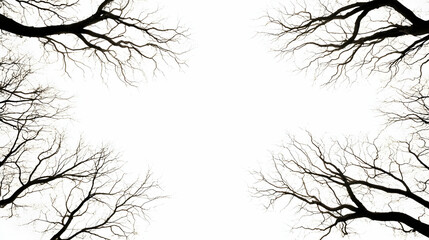 Fototapeta premium Bare Tree Branches Silhouette Frame